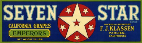 Seven Star